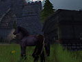 chaos_007.jpg