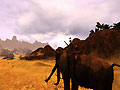Имя файла : conan_241.jpg
Размер : 87KB
Измерения : 800x600
Дата добавления : 20/02/2008 16:01 conan_241.jpg