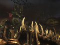 fury_045.jpg