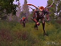 Имя файла : rag_016.jpg
Размер : 153KB
Измерения : 800x600
Дата добавления : 10/08/2006 20:14 rag_016.jpg
