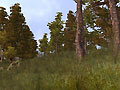 Имя файла : rag_060.jpg
Размер : 178KB
Измерения : 800x600
Дата добавления : 16/06/2007 11:55 rag_060.jpg