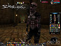 shaiya_003.jpg