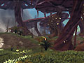Имя файла : sto_006.jpg
Размер : 128KB
Измерения : 800x600
Дата добавления : 28/07/2008 15:42 sto_006.jpg