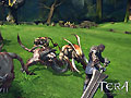 Имя файла : tera_031.jpg
Размер : 156KB
Измерения : 800x600
Дата добавления : 17/09/2009 15:50 tera_031.jpg