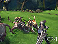 tera_031.jpg