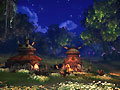 tera_058.jpg